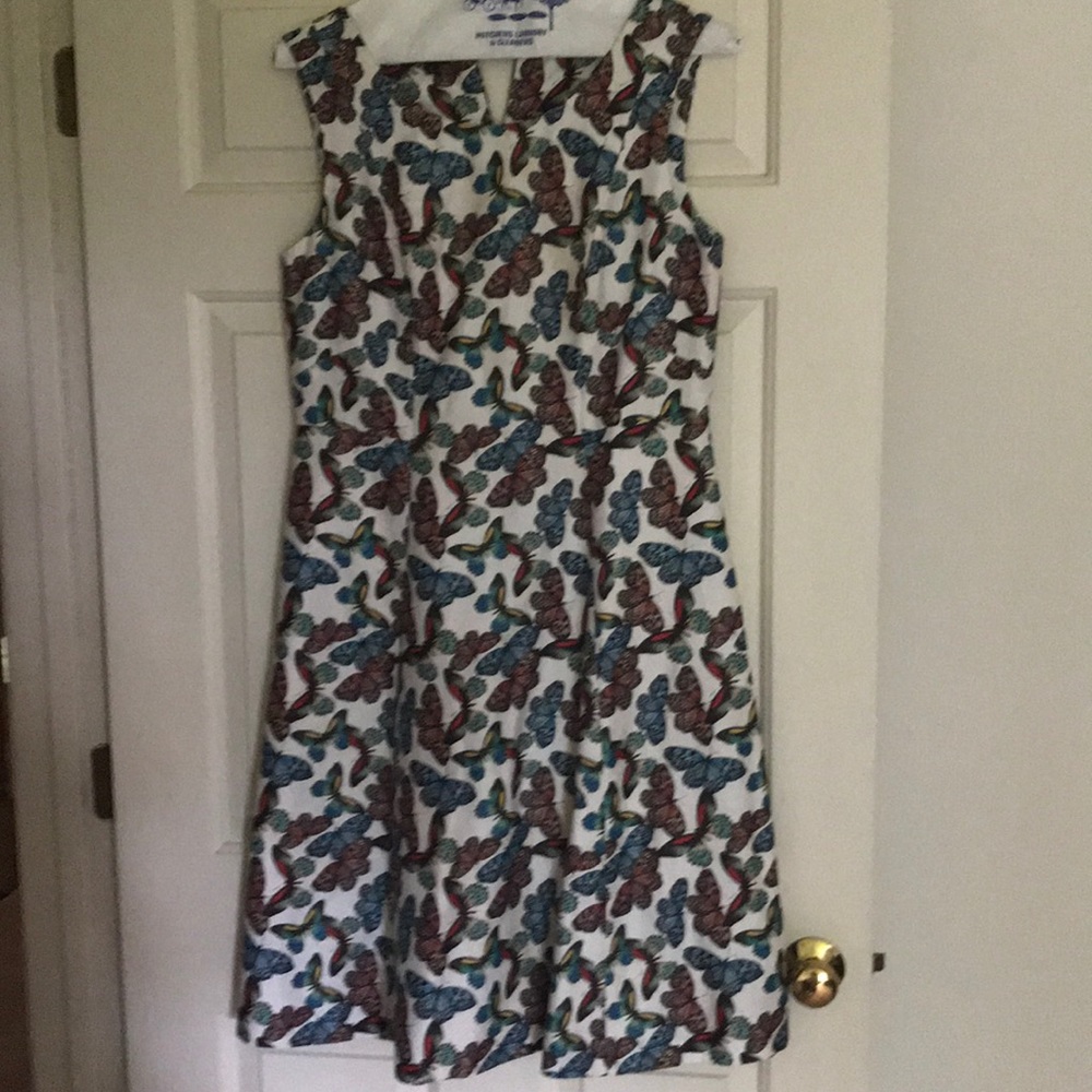 Butterflies fit and flare dress by Talbots
